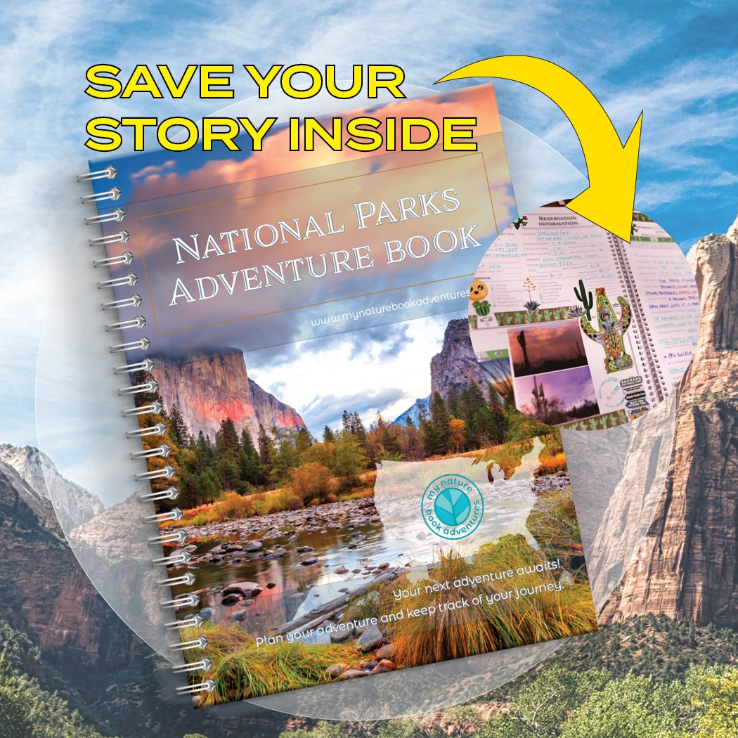 Guide on How to Effectively Use Your Journal My Nature Book Adventures