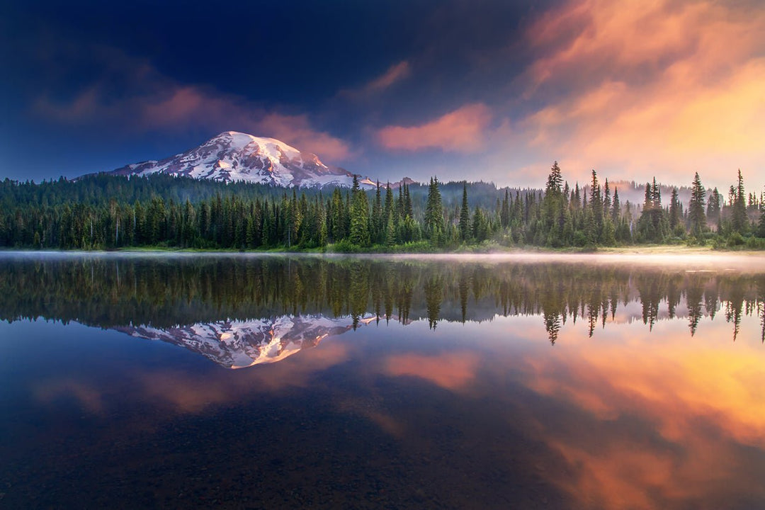 10 Beautiful Sights to See at Mount Rainier National Park - My Nature Book Adventures