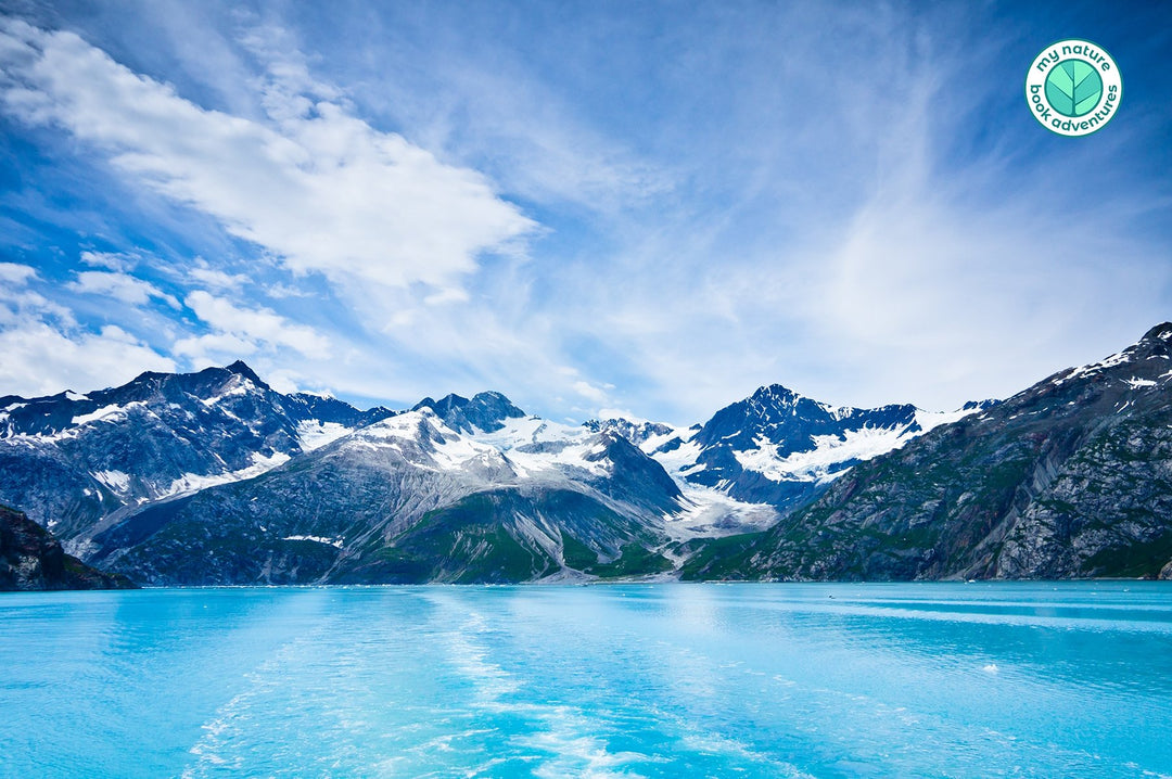 10 Breathtaking Views in Glacier Bay - My Nature Book Adventures