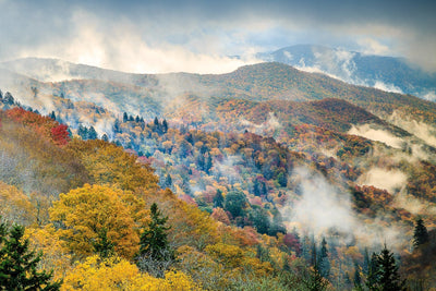 10 Magnificent Natural Sights at the Great Smoky Mountains National Park