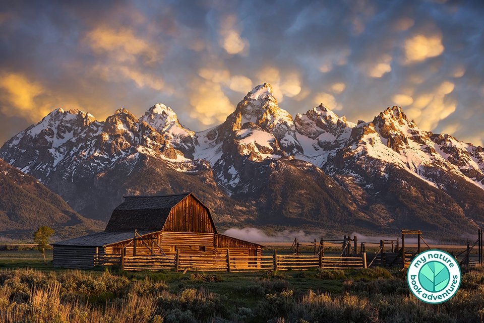 10 Must Visit Natural sights at Grand Teton National Park - My Nature Book Adventures