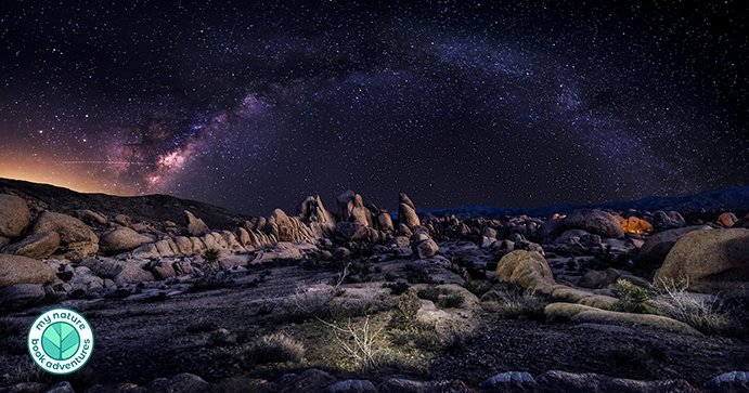 10 of the Most Sought-After Sights within Joshua Tree National Park - My Nature Book Adventures