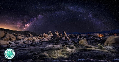 10 of the Most Sought-After Sights within Joshua Tree National Park
