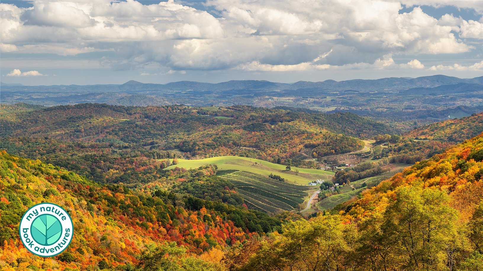 10 State Parks Worth Seeing in Virginia - My Nature Book Adventures