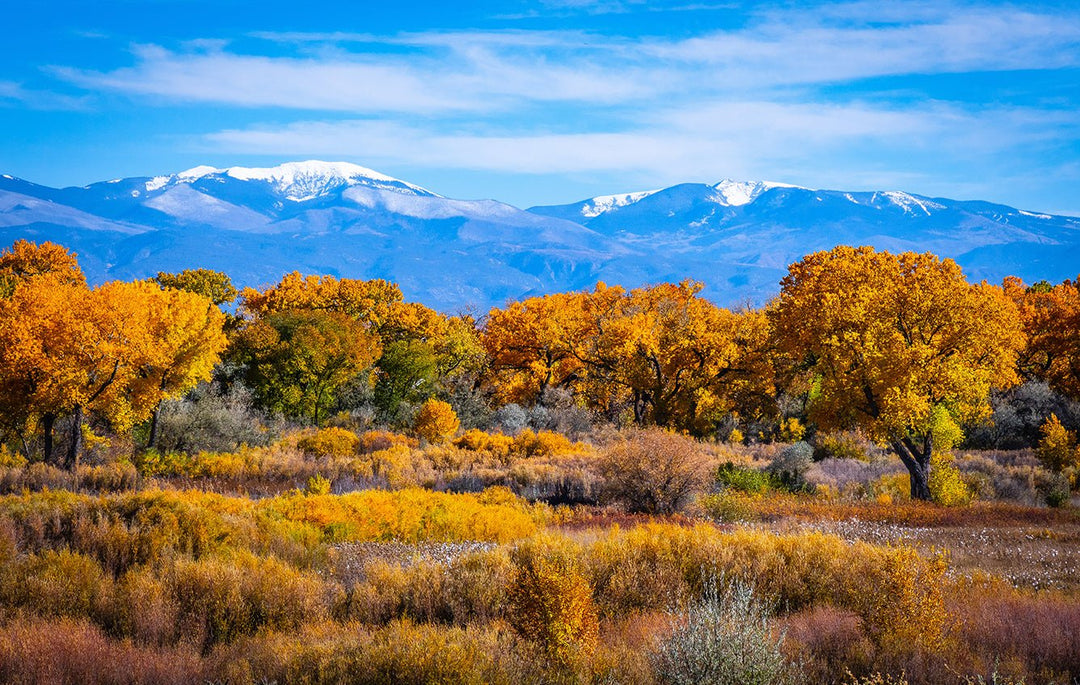 9 New Mexico Parks for Your Must-See Adventure List - My Nature Book Adventures