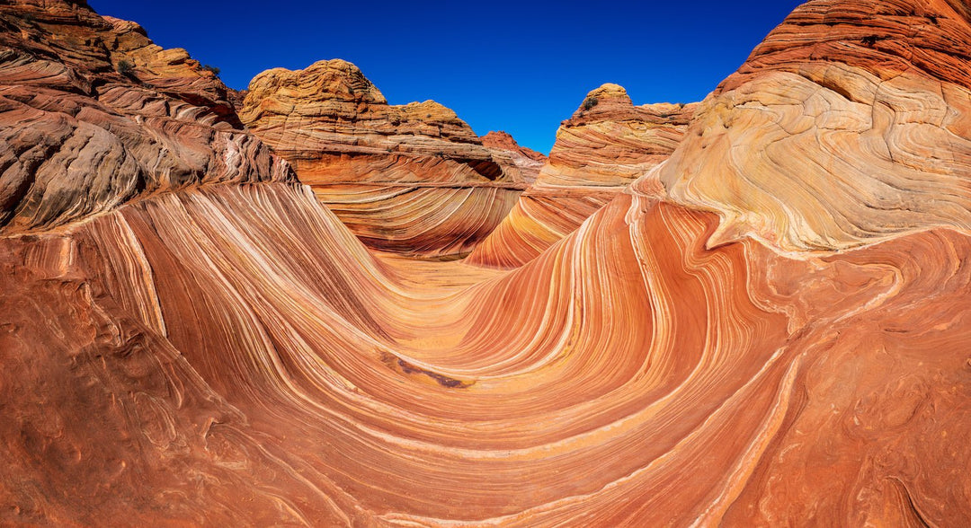 A Rare Glimpse: Visiting Arizona's Vermilion Cliffs and the Coveted Lottery - My Nature Book Adventures
