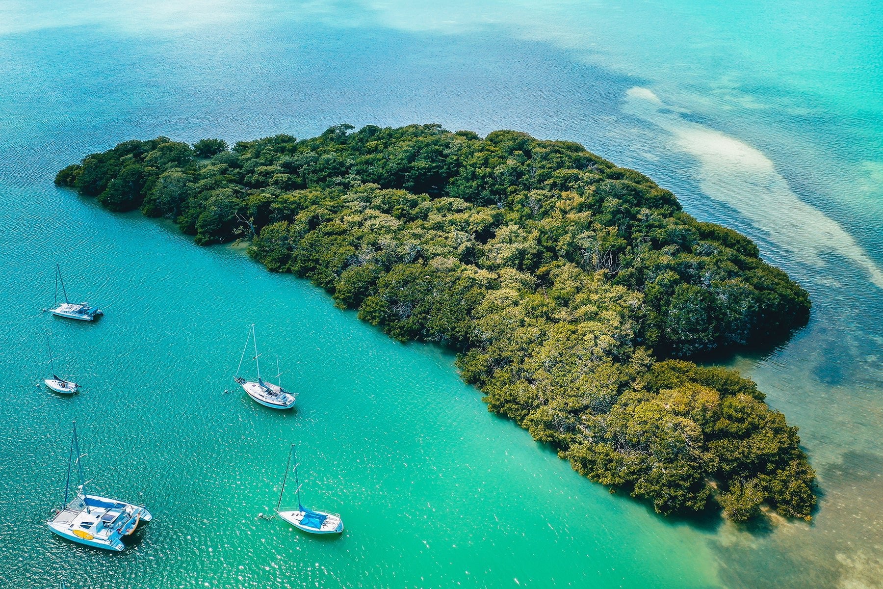 Biscayne National Park: A Lagoon Paradise - My Nature Book Adventures