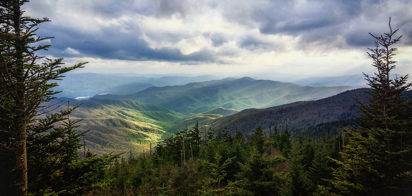 Discover Nature's Marvels: The Best National Parks to Visit in August and September - My Nature Book Adventures