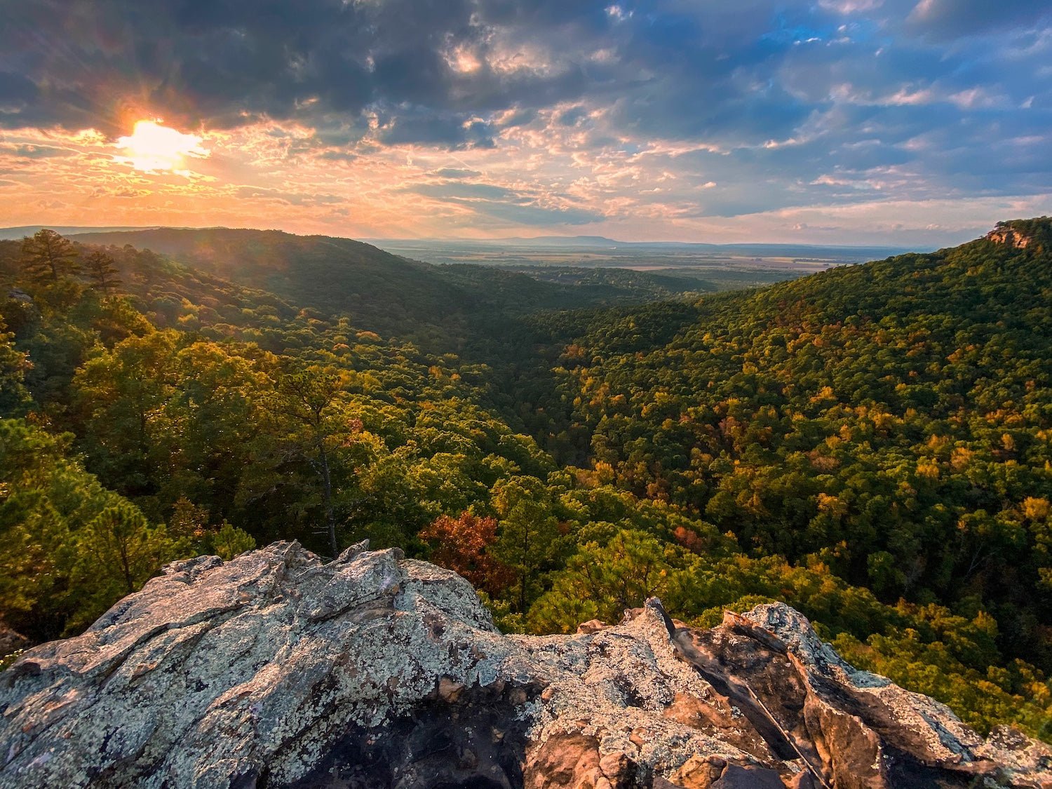 Discover the Hidden Gems: Top Scenic Drives in Arkansas - My Nature Book Adventures