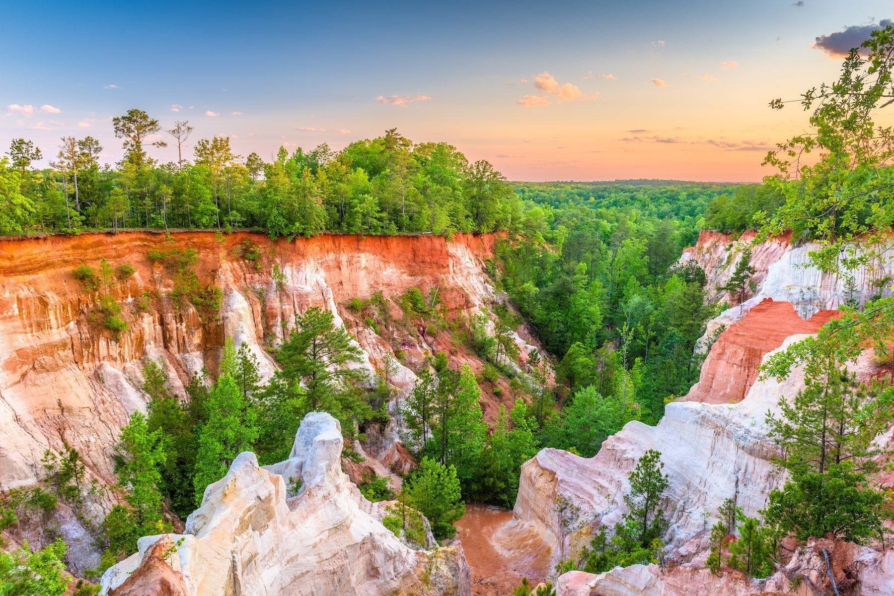 Explore Georgia State Parks - My Nature Book Adventures