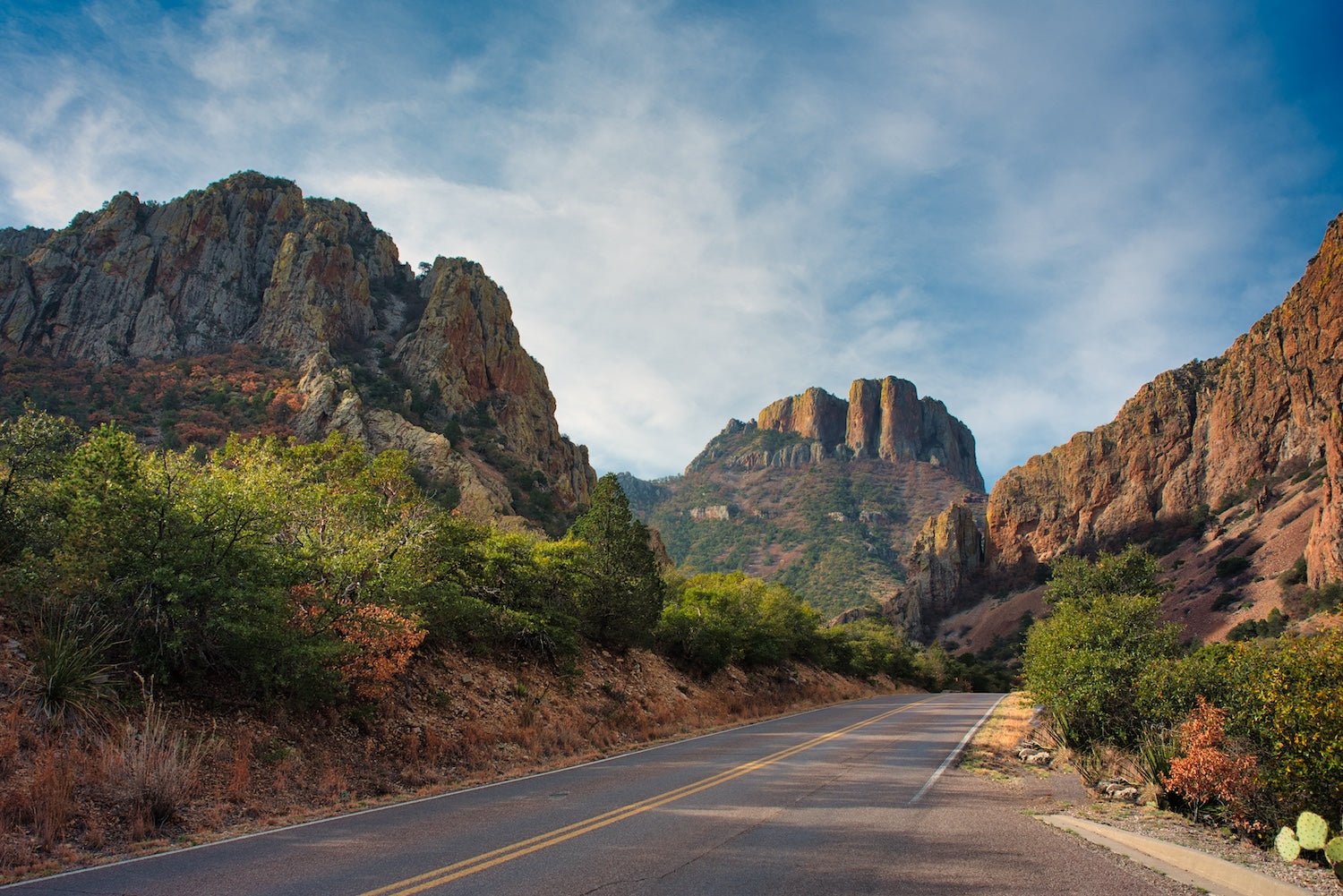 Explore the Beauty of Texas: The Most Scenic Drives for Your Next Adventure - My Nature Book Adventures