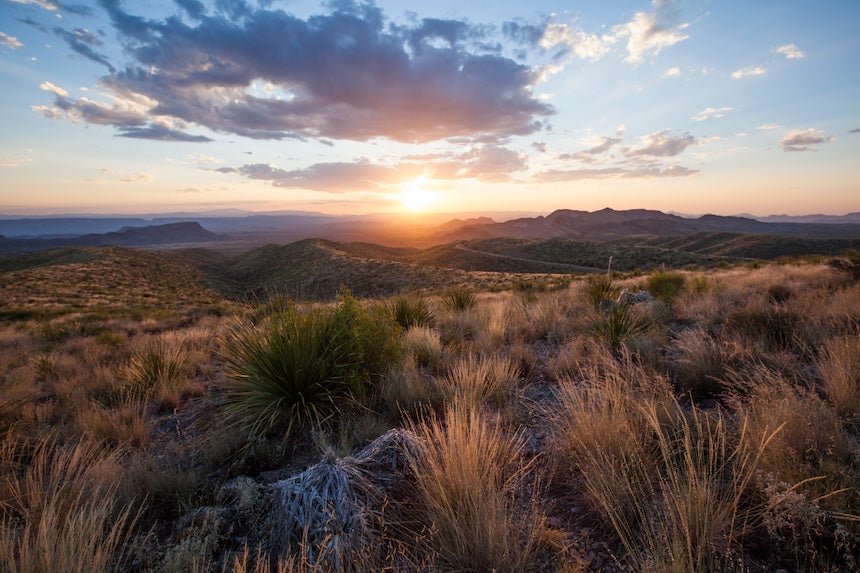 Explore the Wild Beauty of Texas: A Three-Day Adventure in Big Bend National Park - My Nature Book Adventures