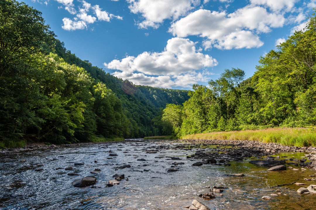 Explore These 5 State Parks in Pennsylvania - My Nature Book Adventures