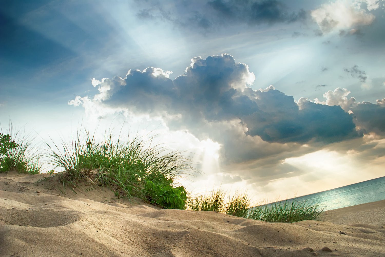 Exploring the Beauty of Nature: Indiana's Best State Parks - My Nature Book Adventures