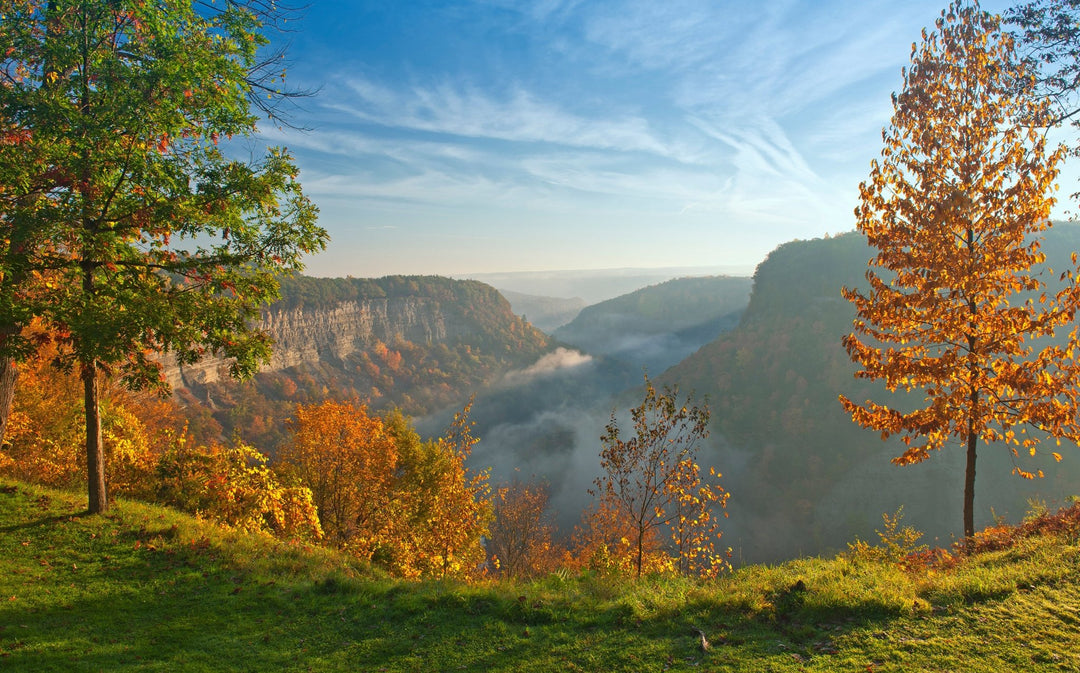 Great Bend Overlook: Letchworth State Park's Crown Jewel - My Nature Book Adventures