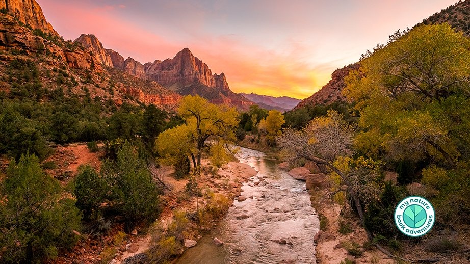 Must do Adventure List in Zion National Park - My Nature Book Adventures