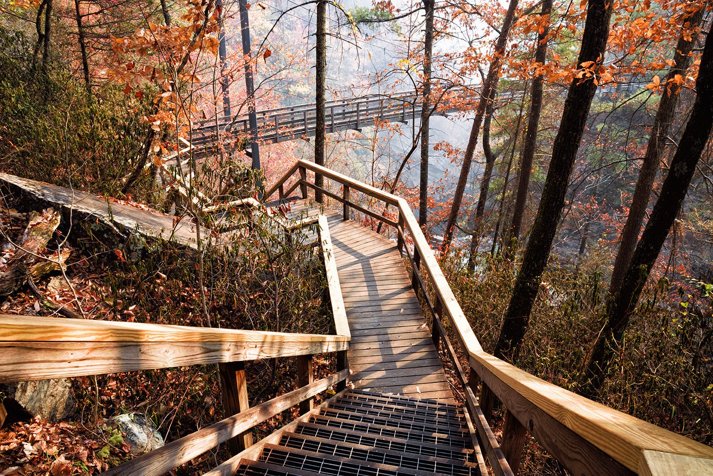 Must See Destinations for Your Georgia State Parks Adventure List - My Nature Book Adventures