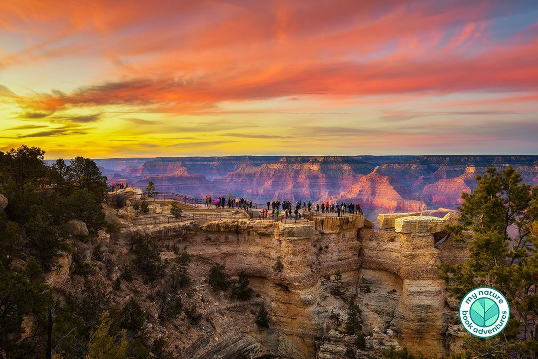 Must See Grand Canyon Vacation Views - My Nature Book Adventures