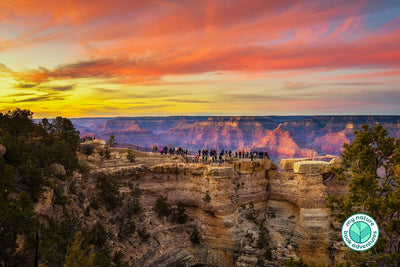 Must See Grand Canyon Vacation Views
