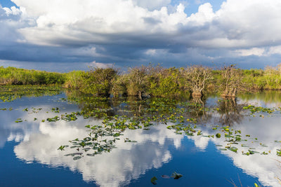 Must See Sights at Everglades National Park - U.S.A.