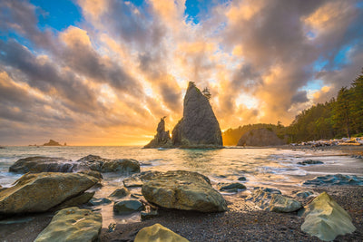 Olympic National Park Top 9 Sights to See