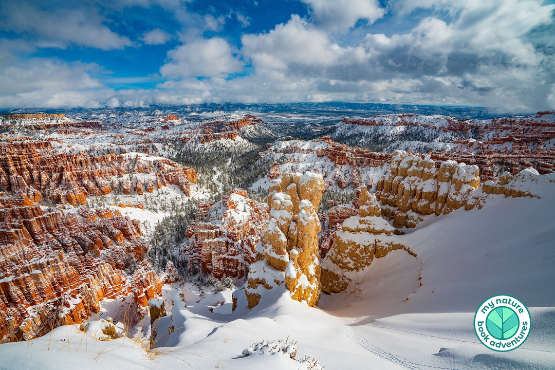 Sights You Must See in Bryce Canyon National Park - My Nature Book Adventures