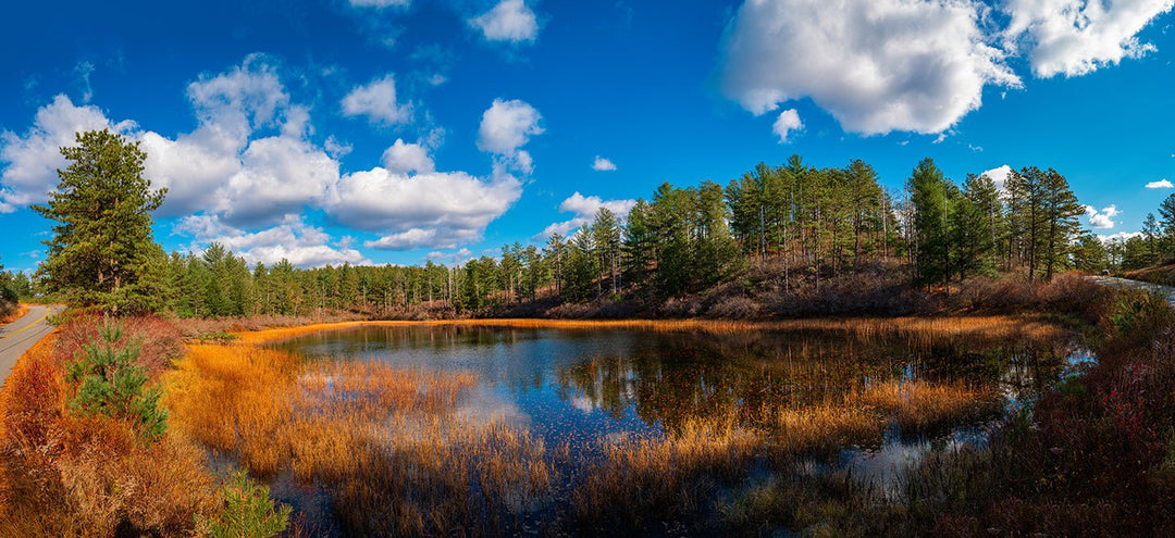 Take on the 10 Best Parks You Can Visit in Massachusetts - My Nature Book Adventures