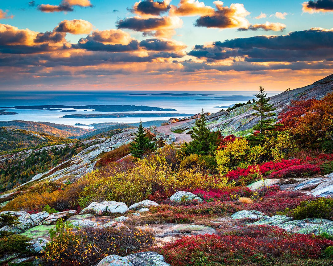 The 10 Best Sights to See at Acadia National Park - My Nature Book Adventures