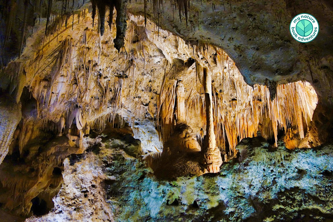 The Underground World of Carlsbad Caverns - My Nature Book Adventures