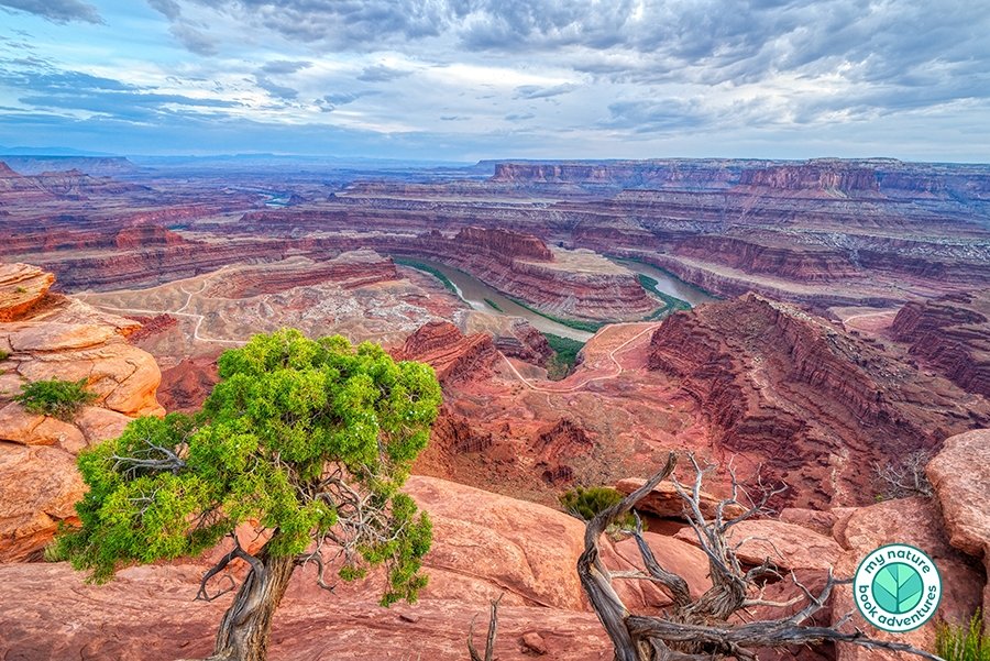 Top 10 Sights to Visit When You’re in Utah’s Canyonlands National Park - My Nature Book Adventures