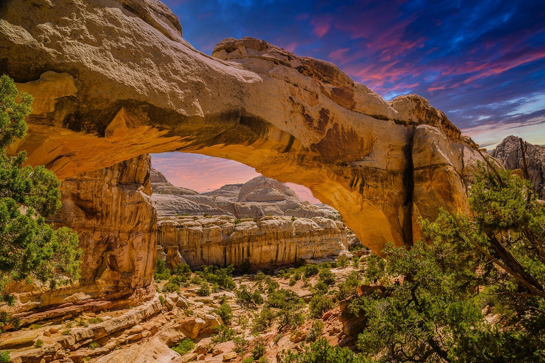 Capitol Reef National Park Top Spots to Visit - My Nature Book Adventures