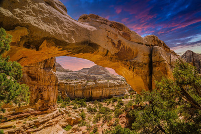 Capitol Reef National Park Top Spots to Visit