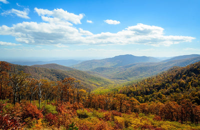 Where to Find Fall's Hidden Gems: A Guide to Unforgettable Autumn Adventures
