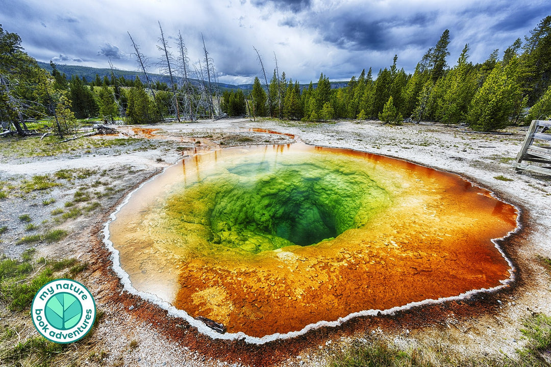Yellowstone National Park Iconic Sights to See - My Nature Book Adventures