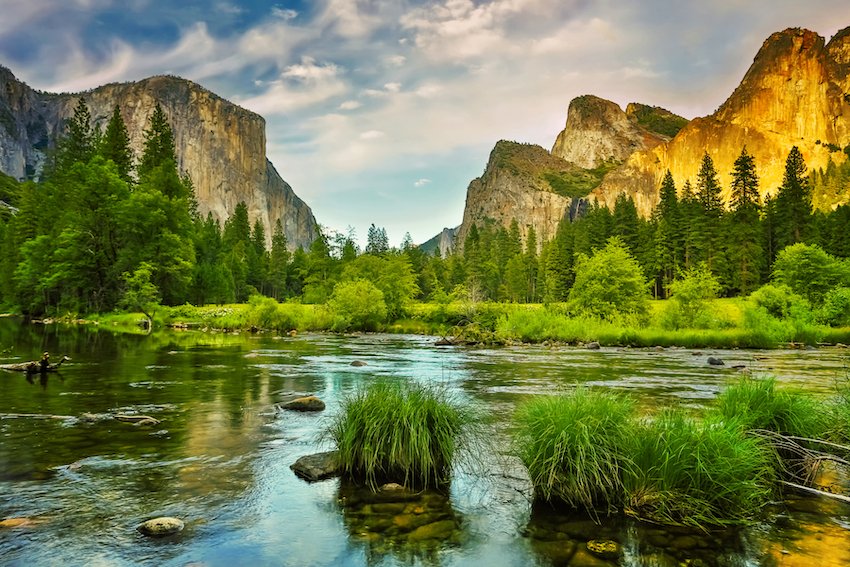 Your Ultimate Guide to Pet-Friendly Travel in Yosemite National Park - My Nature Book Adventures