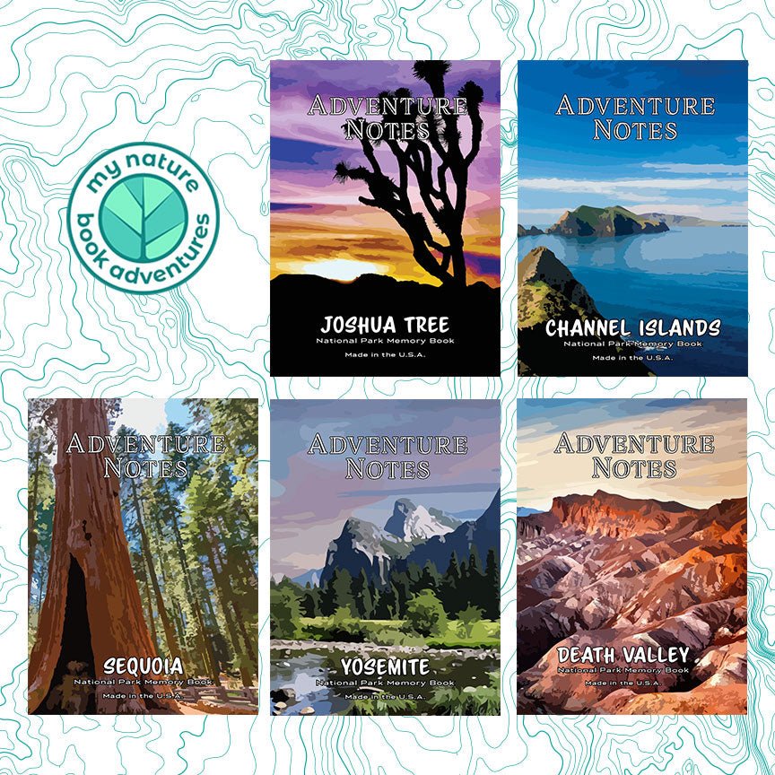 Adventure Notes Combos | My Nature Book Adventures