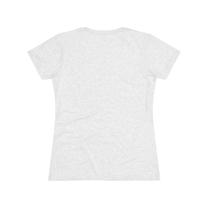 Acadia National Park Women's Triblend Tee - My Nature Book Adventures