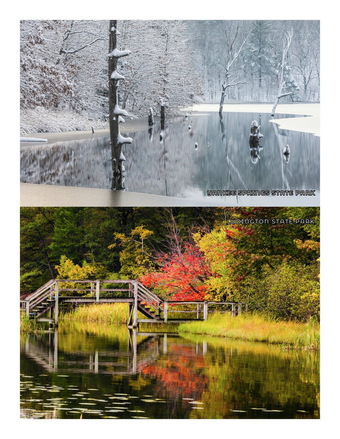 NEW - Michigan Adventure Book - My Nature Book Adventures