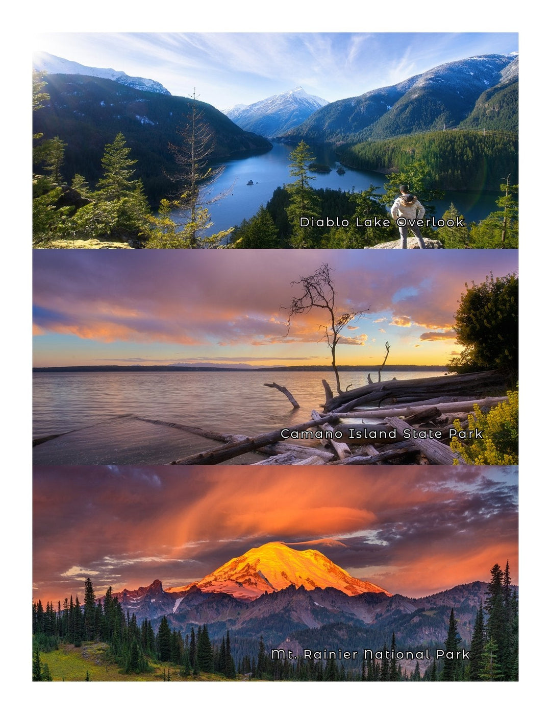 New - Washington State Parks - Adventure Book - My Nature Book Adventures