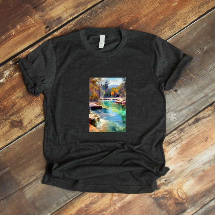 Hot Springs National Park Pop Art T-shirt - My Nature Book Adventures