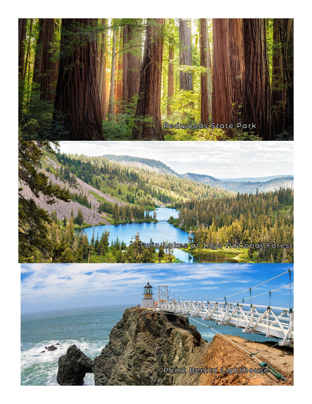New 2023 - California Adventure Book - My Nature Book Adventures