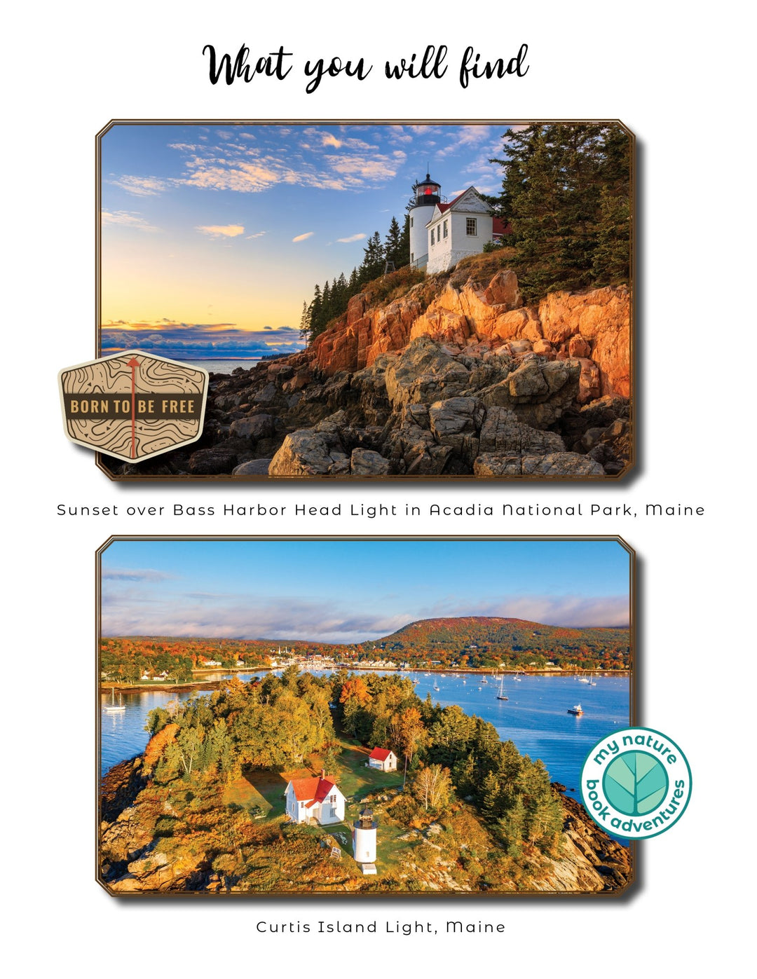 New England Lighthouses - Adventure Planning Journal - My Nature Book Adventures