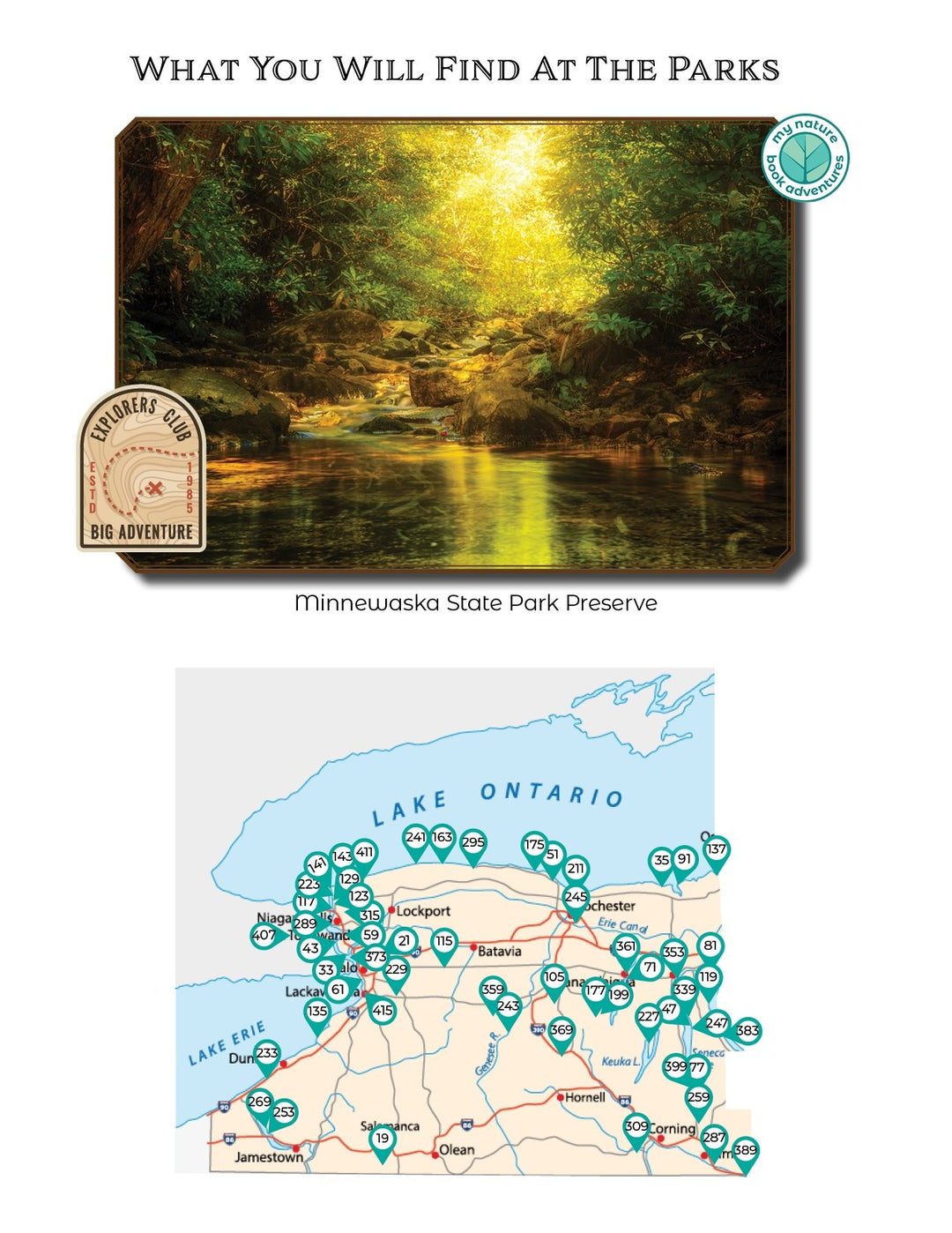 New York State Parks - DIGITAL DOWNLOAD - Adventure Planning Journal - My Nature Book Adventures