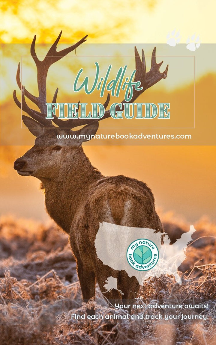 Wildlife Field Guide - My Nature Book Adventures