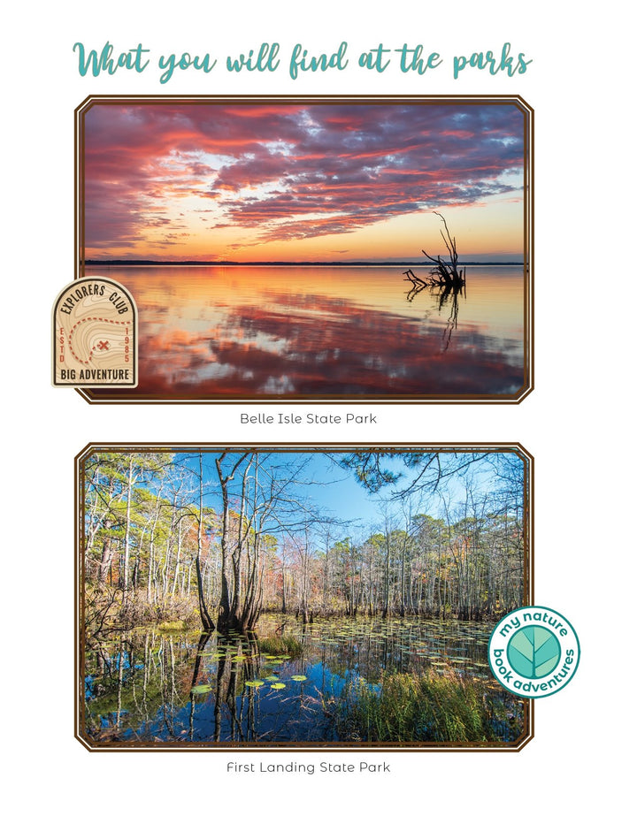 Virginia Parks - DIGITAL DOWNLOADS - Adventure Planning Journal - My Nature Book Adventures